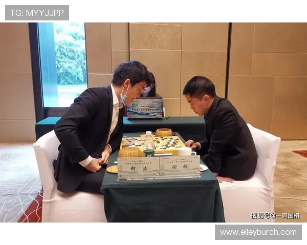 如何在百家乐网页版下注中实现稳健策略，降低风险提高胜率